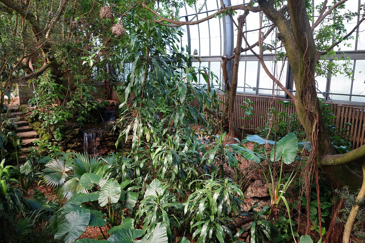 Interior de un aviario con vegetación abundante y luz natural